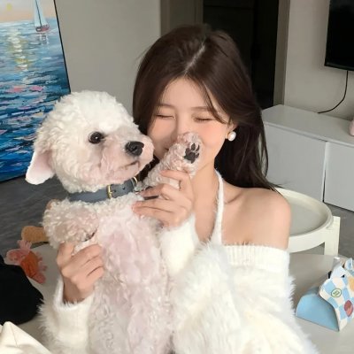 拳力游戏